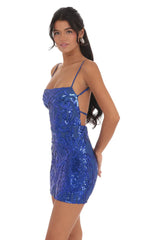 Sequin Bodycon Dress in Royal Blue