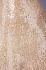 Embellished V-neck Lace Mini Dress in Pale Peach